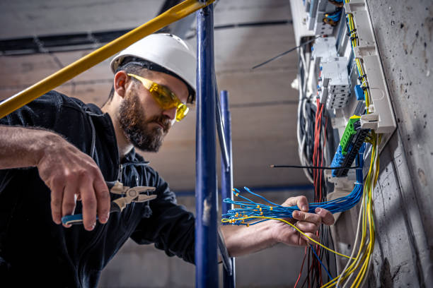 Best Local Electrician Companies  in Three Oaks, FL