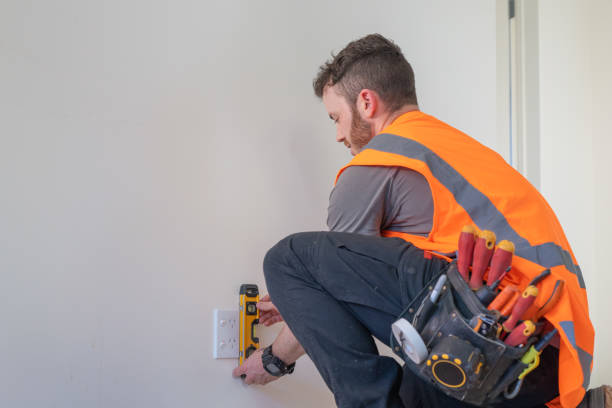 Best Ceiling Fan Installation Electrician  in Three Oaks, FL