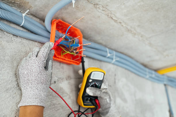 Best Ceiling Fan Installation Electrician  in Three Oaks, FL